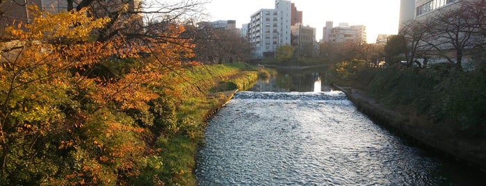 新櫻橋 is one of 富山県.