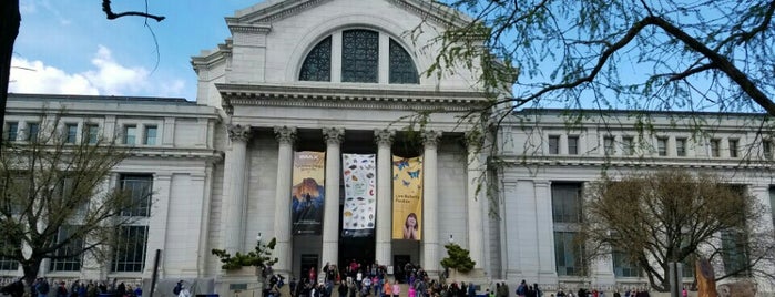 国立自然史博物館 is one of United States.