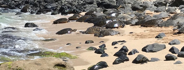 Ho‘okipa Beach Park is one of Locais curtidos por Rachel.