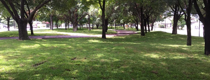 Vitapista Calzada del Valle is one of Monterrey #4sqCities.