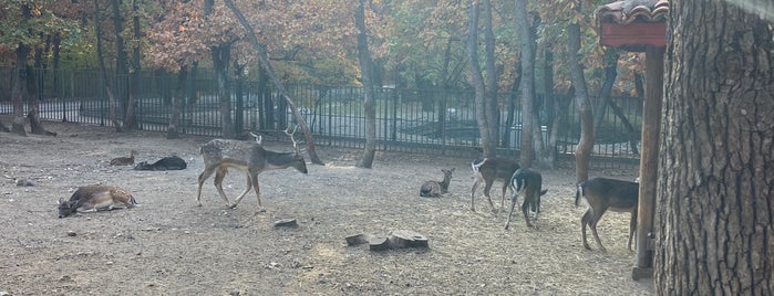 Zoo Park Haskovo is one of S'list.