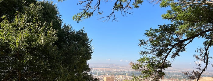Jardin de los Adarves is one of Granada 2019.