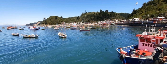 Caleta Tumbes is one of Concepción y alrededores.
