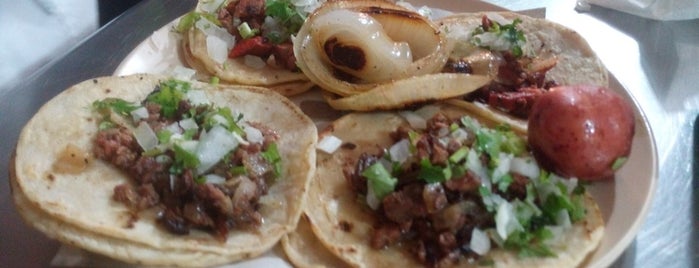 Tacos Alf is one of Locais curtidos por José.