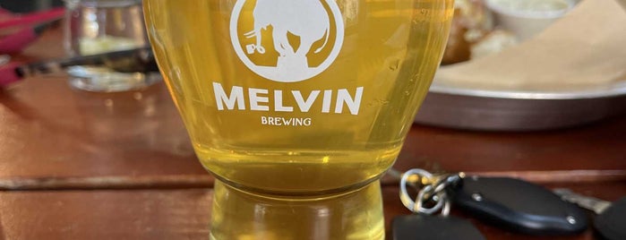 Alpine Taproom at Melvin Brewing is one of Yellowstone trip.