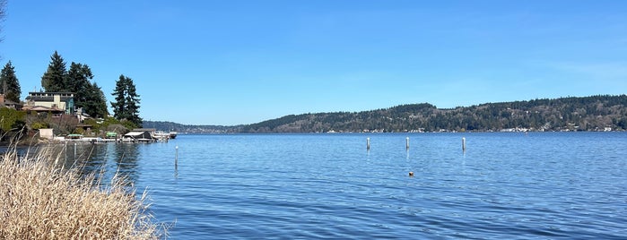 Matthews Beach Park is one of Seattle’s Swimming Holes.