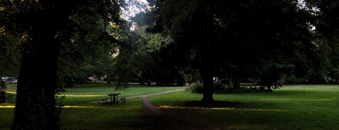 Roanoke Park is one of Playground.