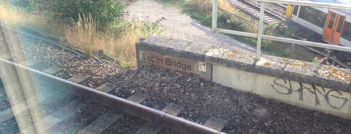 Lupin Bridge is one of Tempat yang Disukai Fabio.