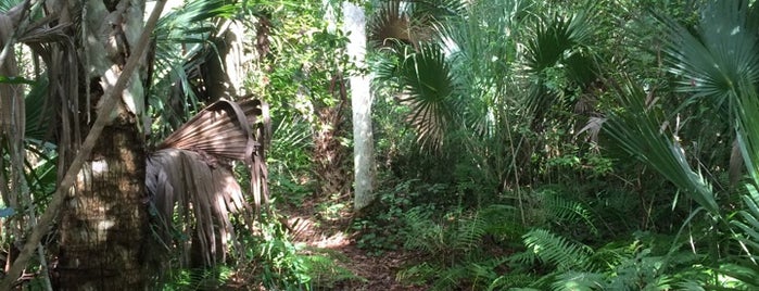 Osprey Trail - Seminole County [Winter Springs] is one of fitness in nature.