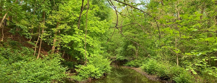 Alonzo F. Bonsal Wildlife Preserve is one of สถานที่ที่ Lizzie ถูกใจ.