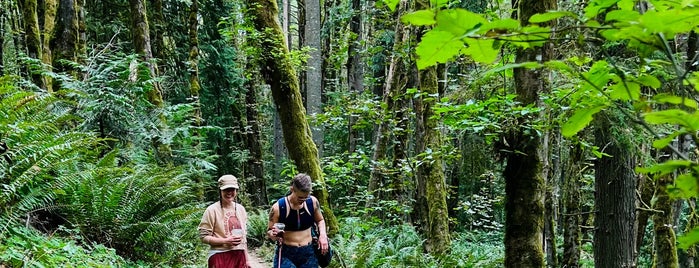 Forest Park - Wildwood Trailhead is one of Portland.