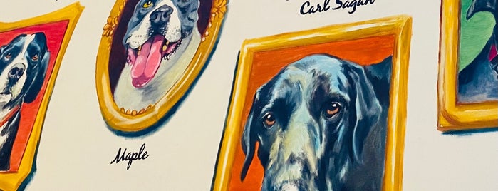 nearest dog pet shop