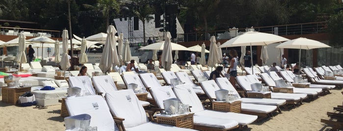 Blue Marlin Ibiza is one of Manu’s Liked Places.