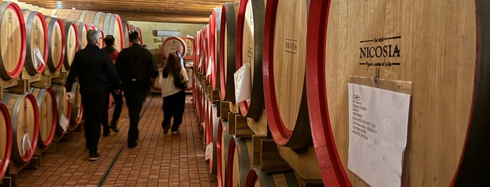 Cantine Nicosia is one of Wine World.