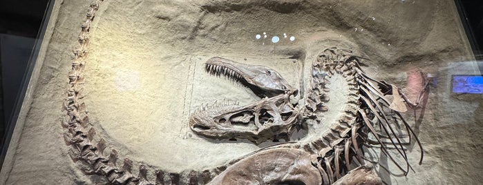 Royal Tyrrell Museum of Paleontology is one of Alberta & British Columbia / Kanada.