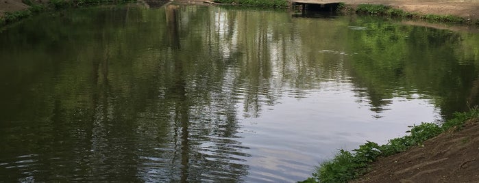 Pisztrángos tó is one of Gyerekbarát helyek.