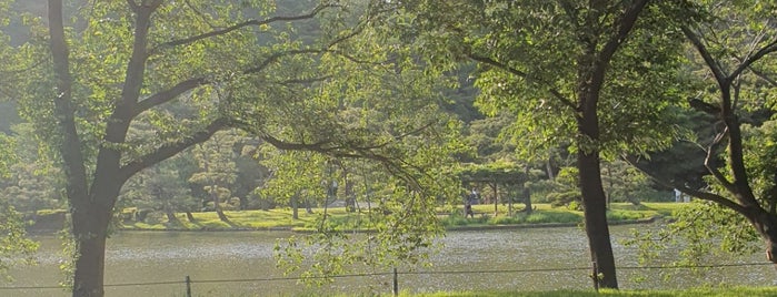 蓮池 is one of lake-kanagawa.