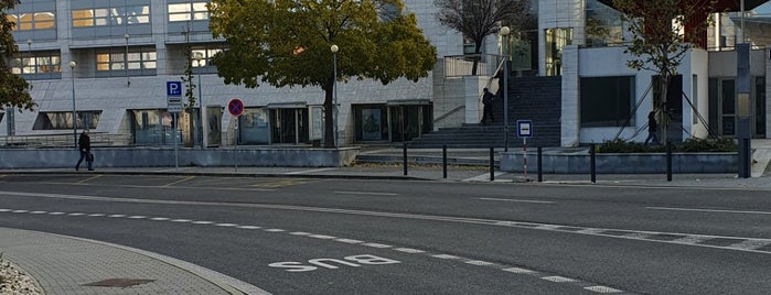 Slovak National Theatre is one of THEATRES.