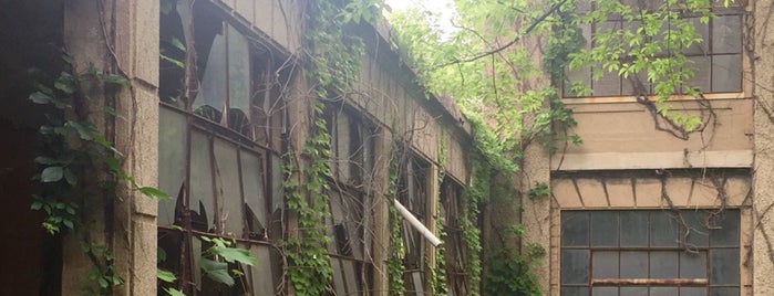 13 Abandoned, Creepy, and Otherwise Spooky Places