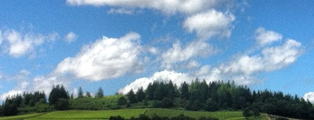 Stoller Vineyard is one of Oregon Wine Country.