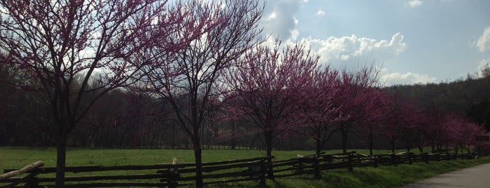 Wildcat Mountain Civil War Battlefield is one of Historic/Historical Sights List 5.