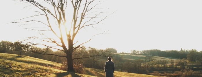 Stroud Nature Preserve is one of Posti salvati di Sarah.