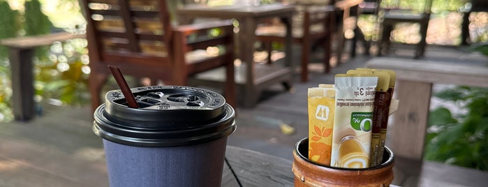 Coffee and Tree is one of Bangkok.