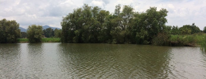 Laguna de Pinares de Tapalpa is one of Locais curtidos por Jhalyv.
