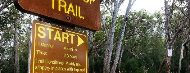 Aiea Loop Trail is one of Hawaii.