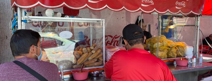 Tortas ahogadas el primo is one of Torta ahogada.