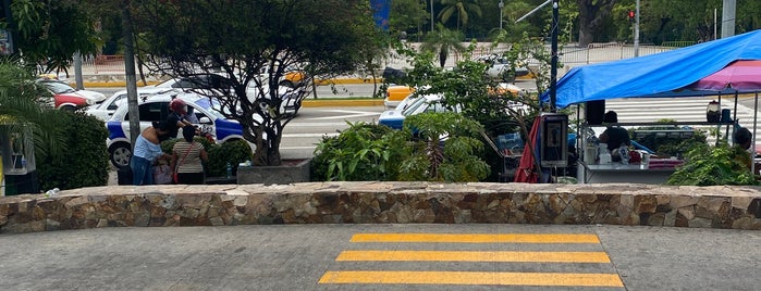 Terminal de Autobuses Papagayo is one of Acapulco.