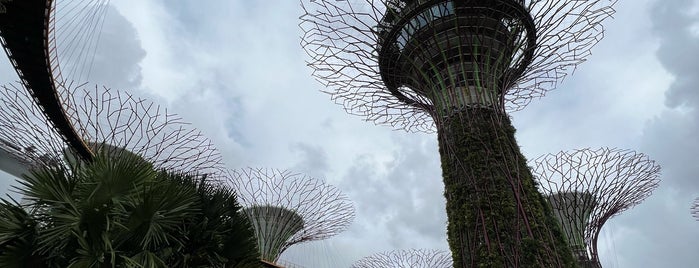 Cloud Walk is one of สถานที่ที่ Lauren ถูกใจ.