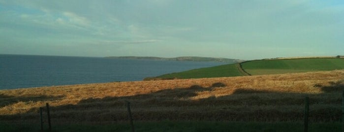 The Blue Horizon Bed & Breakfast is one of Ireland.