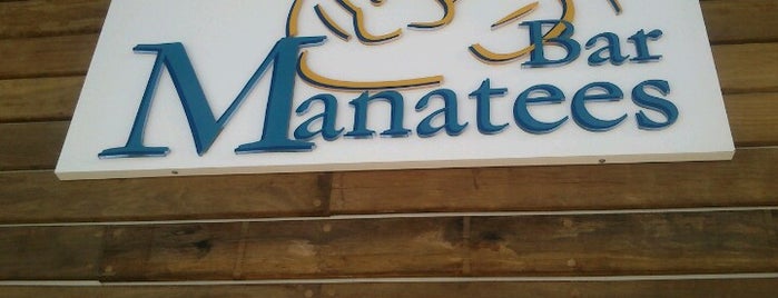 Manatees Bar is one of Secrets The Vine Cancún.