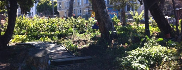 Hayes Valley Farm is one of San Fran.