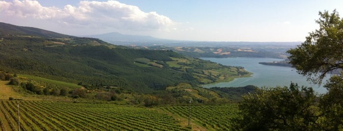 Titignano is one of Orvieto: magie della muffa.