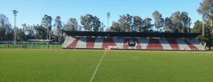 Estadio Alberto Larraguibel is one of สถานที่ที่ Rodrigo ถูกใจ.