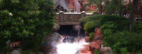 Splash Mountain is one of Walt Disney World - Magic Kingdom.