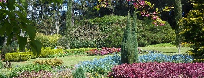 Jardim dos Pinhais Ecco Parque is one of Campos do Jordão.