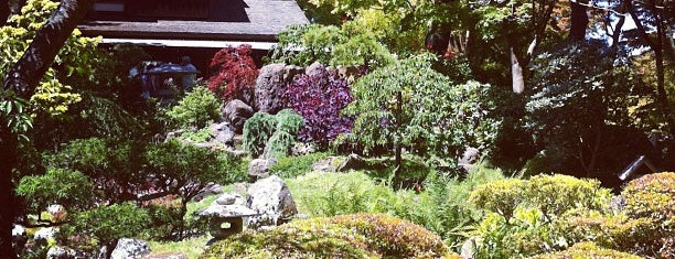 Japanese Tea Garden is one of San Fran!.