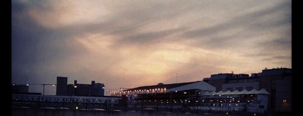 Shelbourne Park Greyhound Stadium is one of Dublin Fiasco.