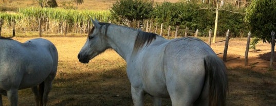 Fazenda Santa Edwiges is one of Eu estivem aqui.