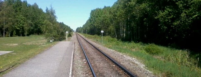 Saku Raudteepeatus is one of Raudteejaamad/Rongipeatused.