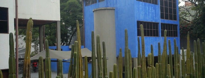 Museo Casa Estudio Diego Rivera y Frida Kahlo is one of Museos, cultura, parques.