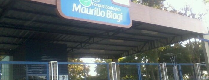 Parque Ecológico Maurilio Biagi is one of Ribeirão.