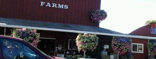 Bauman's Farm & Gardens is one of สถานที่ที่บันทึกไว้ของ Rob.