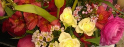 Mayfield Florist is one of Lugares favoritos de W. Mark.