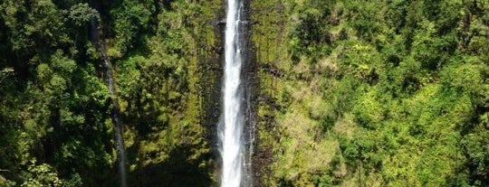 Akaka Falls State Park is one of vacation rentals.