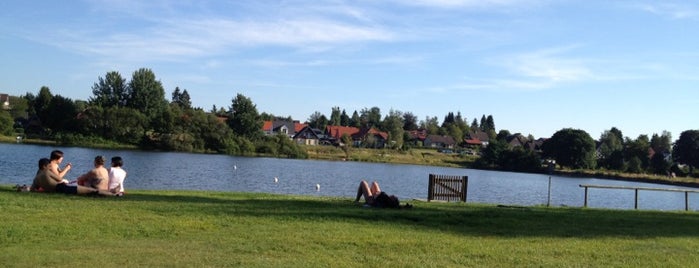 Waldseebad is one of Lieux qui ont plu à Bahman.