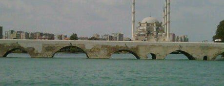 Taşköprü is one of Adana.